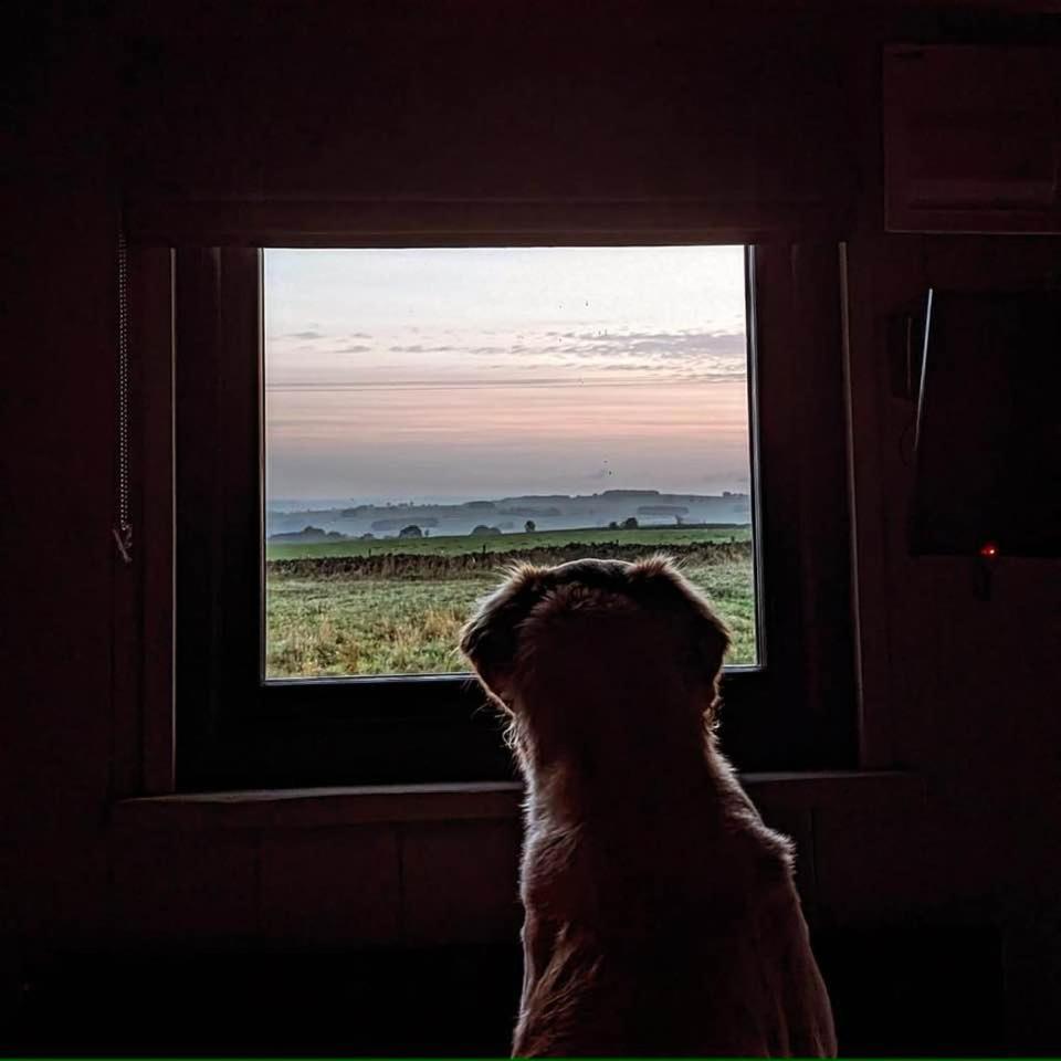 Luxury Shepherd Hut In The Peak District Bakewell Extérieur photo